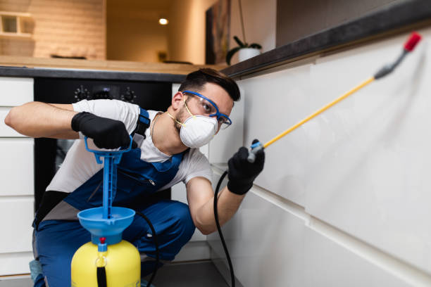 Best Affordable Pest Control Services  in North Canton, OH