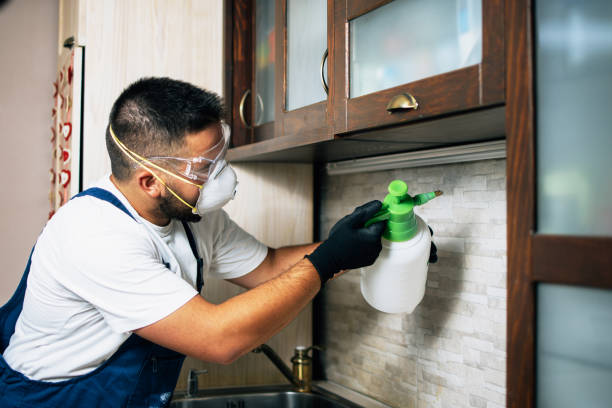 Best Local Pest Control Services  in North Canton, OH