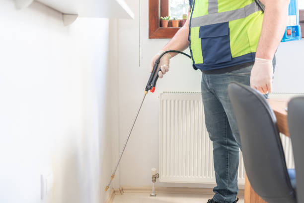 Reliable North Canton, OH Pest Control Solutions