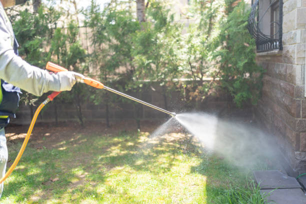Best Termite Control Services  in North Canton, OH