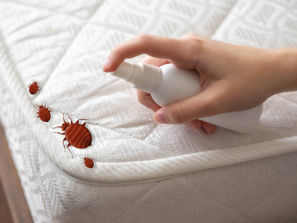 Best Pest Control Near Me  in North Canton, OH