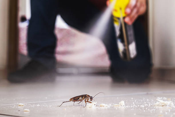 Best Pest Prevention Services  in North Canton, OH