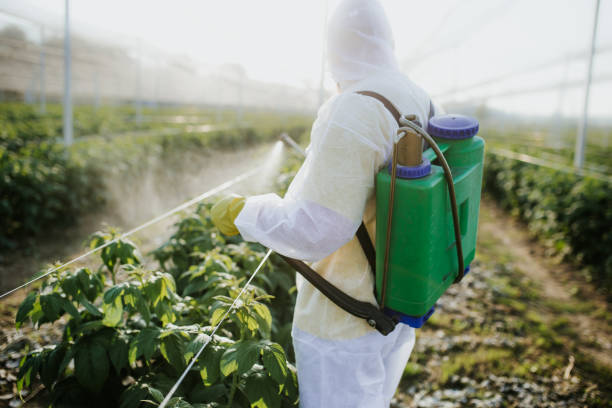 Best Best Pest Control Companies  in North Canton, OH